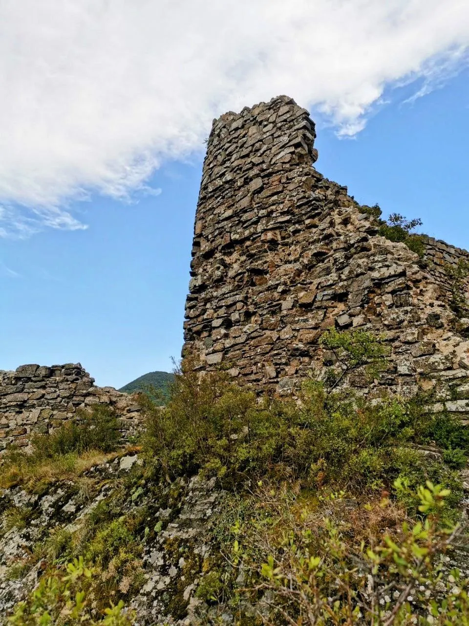 Панорама долины Куры возле крепости Армази